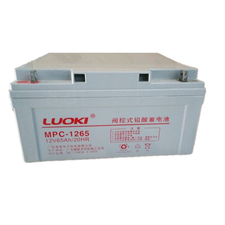 洛奇蓄电池MPC12-7 原装洛奇蓄电池12V7AH 铅酸免维护蓄电池 UPS电源专用示例图4
