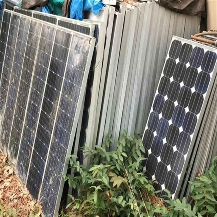 太阳能板回收 家庭旧太阳能发电板 二手组件  厂家电话 永旭