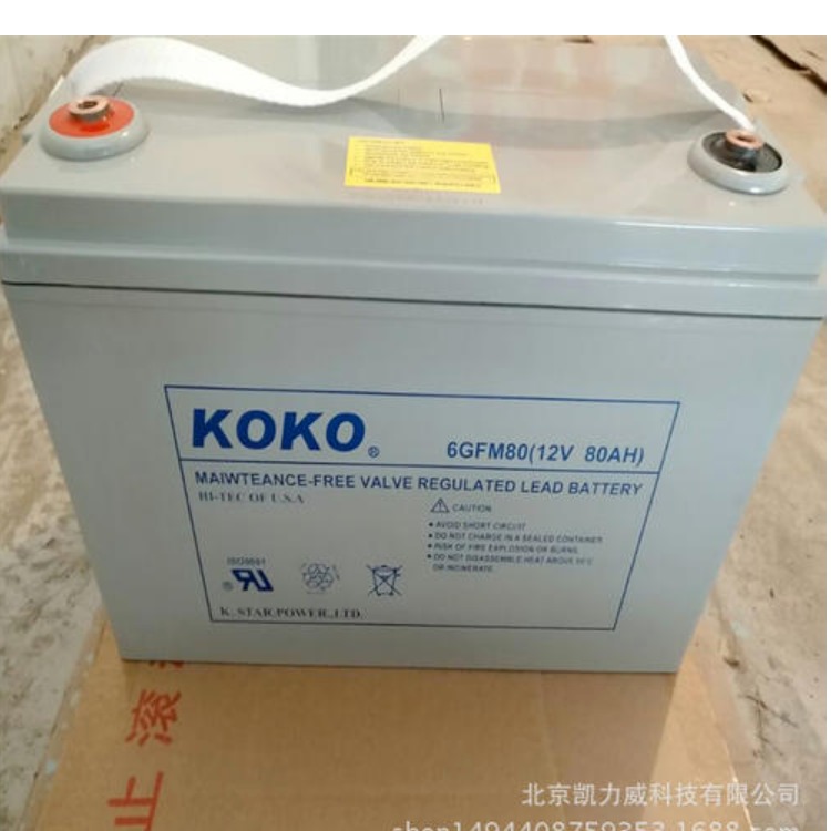KOKO可可蓄电池GFM2500船舶信号灯UPS EPS应急电源2V2500AH原装现货