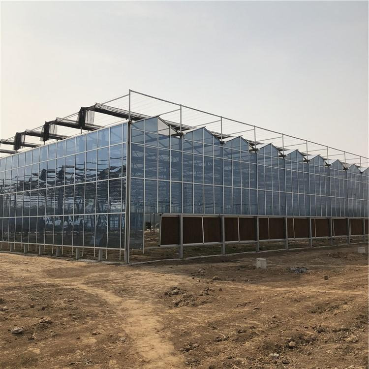 专业安装设计玻璃温室 现代化农业温室大棚 花卉作物种植玻璃温室