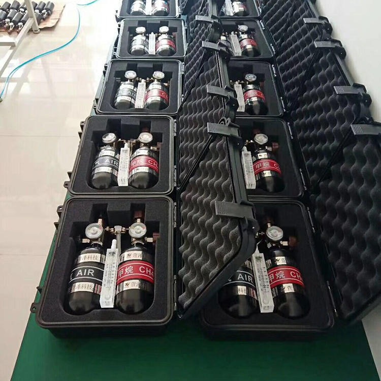 厂家生产便携式校验装置 xzj-4甲完仪器校验仪 普煤现货出售空气校验瓶图片