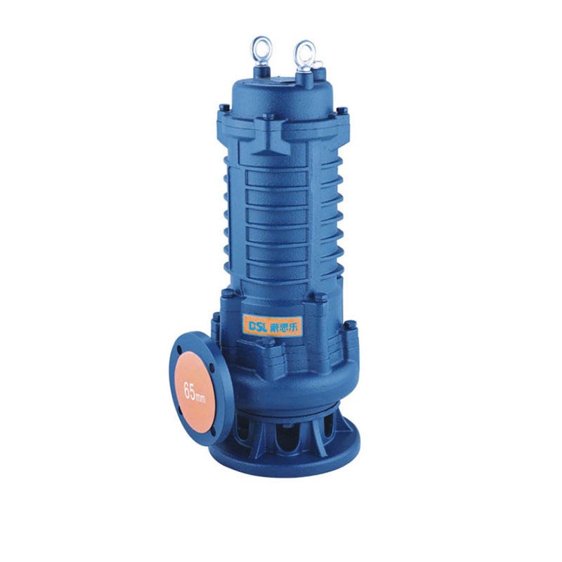 戴思乐污水潜水泵 商用型污水处理泵 水泵