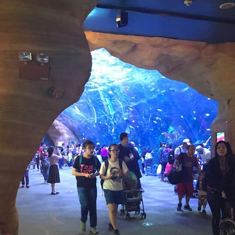lanhu海洋馆工程安装大型亚克力隧道水族箱 有机玻璃鱼缸定做 图纸设计
