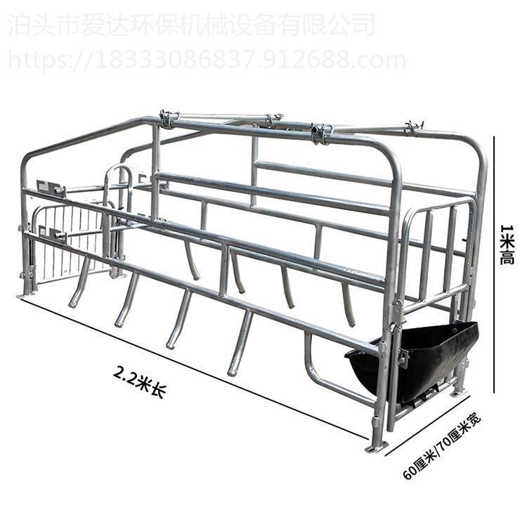 爱达供应 母猪定位栏 不锈钢食槽 养猪设备 小猪保育床