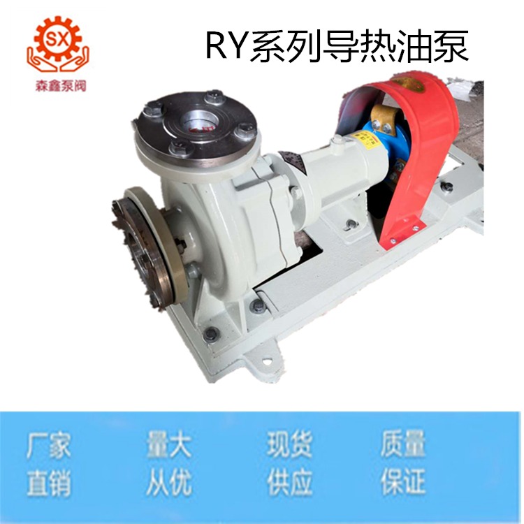 森鑫生产RY65-40-200型风冷式导热油泵 导热油循环泵 导热油专用泵图片