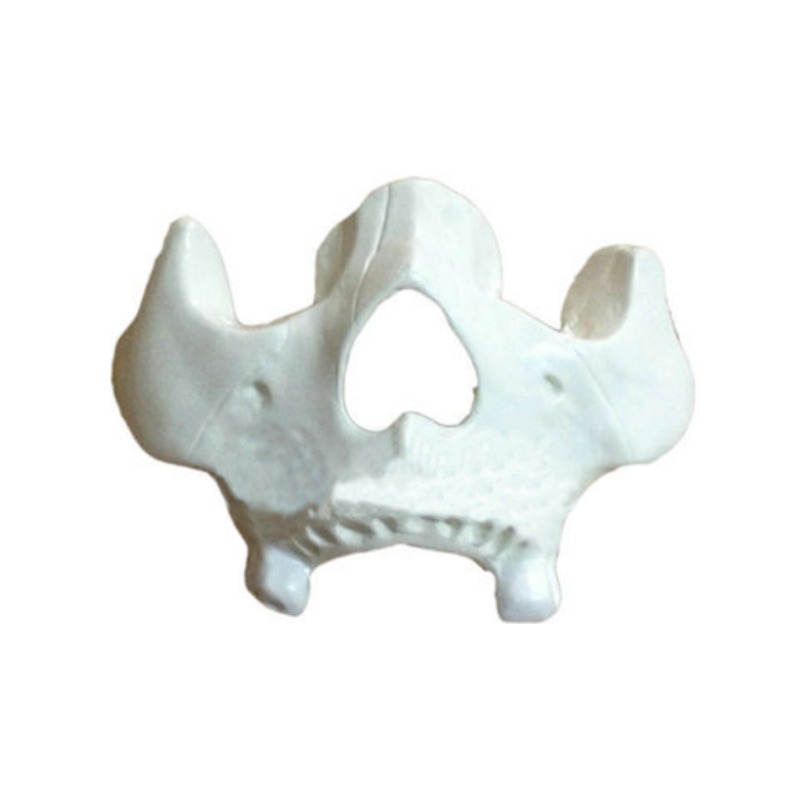 鼻骨放大模型实训考核装置  鼻骨放大模型实训设备 鼻骨放大模型综合实训台图片