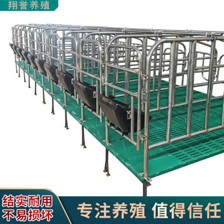母猪限位栏猪场用品 养猪设备母猪定位栏带复合漏粪板猪用定位栏 翔誉