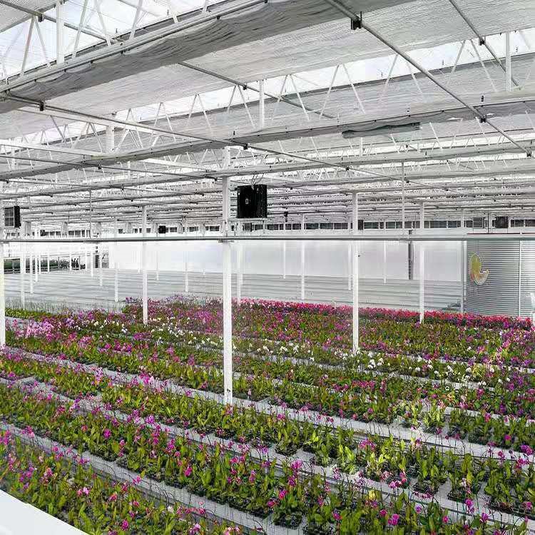 玻璃温室大棚  温室大棚设计安装 蔬菜花卉温室大棚
