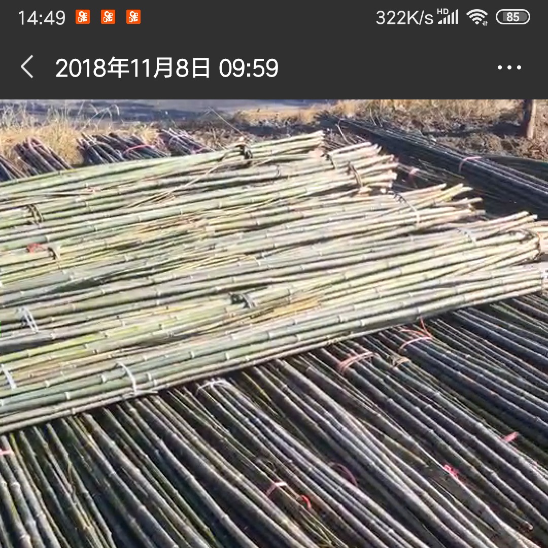 直发全国各种2.2米3米细竹杆 温棚 绿化撑树竹杆