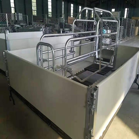 世昌畜牧 CH-3欧式母猪产床 单体欧式产床 养猪设备