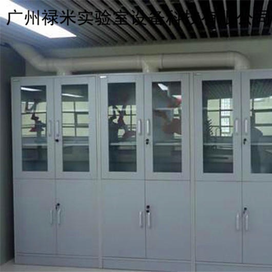 禄米实验室 全钢药品柜，药品柜批发，药品柜制造商LM-YPG92101图片