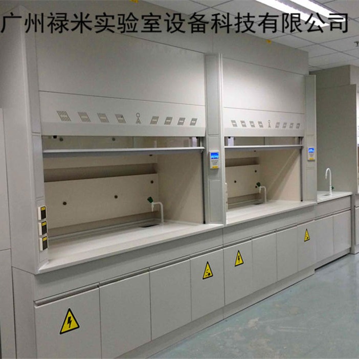 禄米实验室 全钢通风柜 化验室全钢通风橱 广州通风柜 厂家直销 实验室家具LM-TFG2111