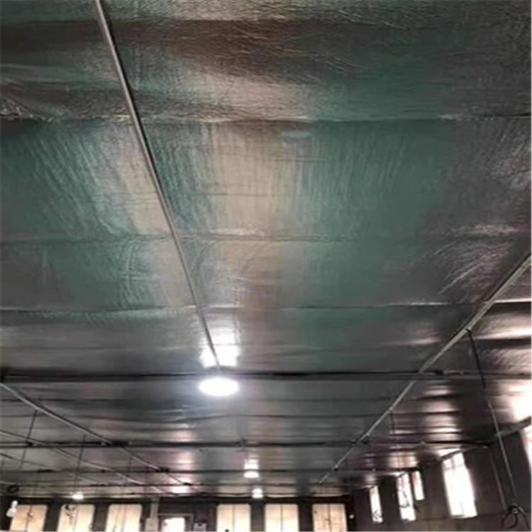 纳米隔热膜 屋顶双层铝箔保温材料 阳光房铝箔反光膜 龙哲