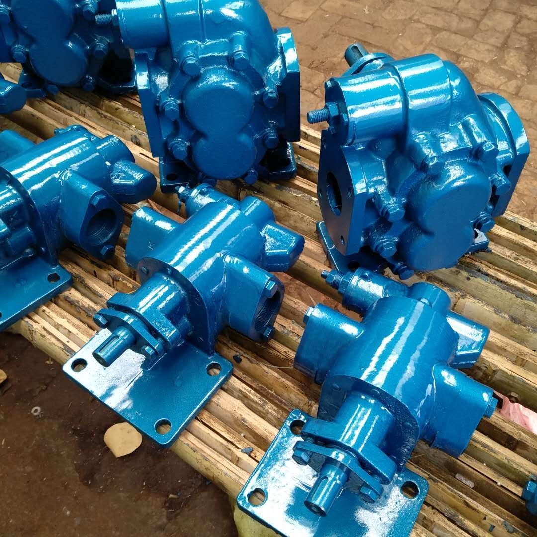 华海泵业KCB-33.3卧式齿轮泵 卫生级不锈钢齿轮泵 增压齿轮油泵 润滑油输送泵2.2KW  20口径