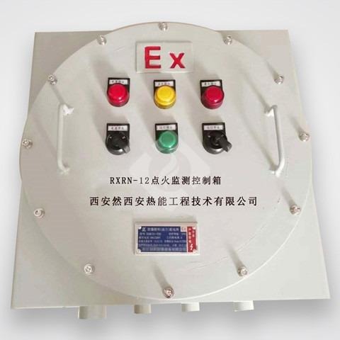 燃信热能厂家直销 RXRN-12点火检测控制箱  品质可靠  欢迎订购