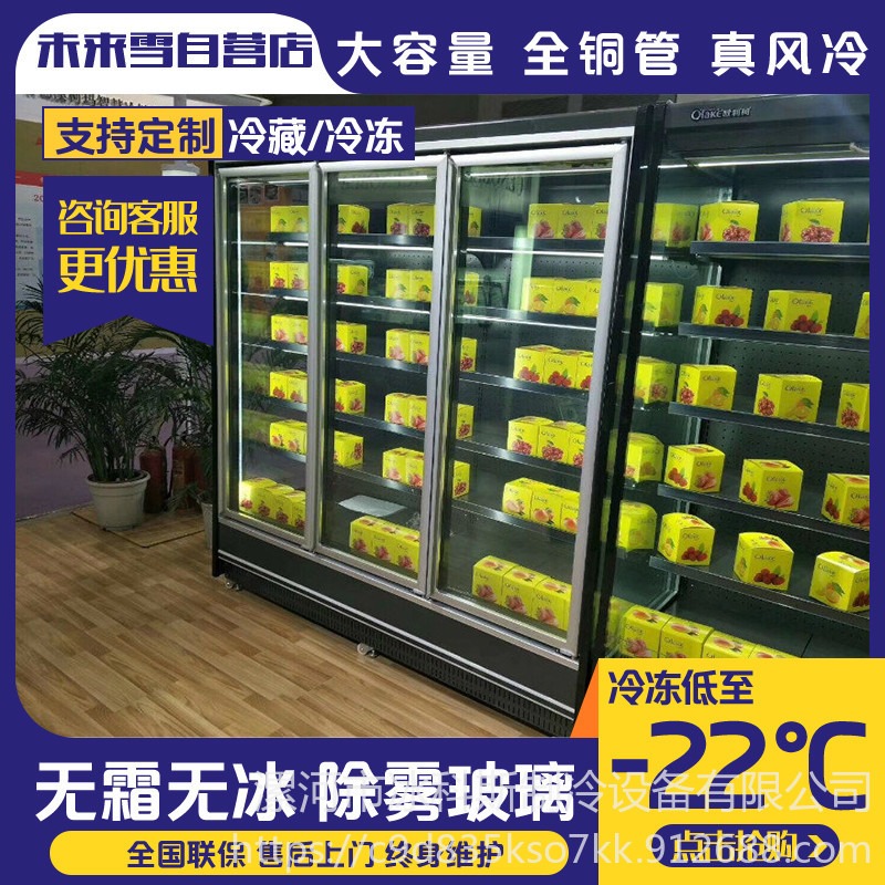 冰科斯-WLX-LSLD-05硬冰淇淋展示柜 商用立式冷冻柜 单门双门冰淇淋展示陈列柜价格