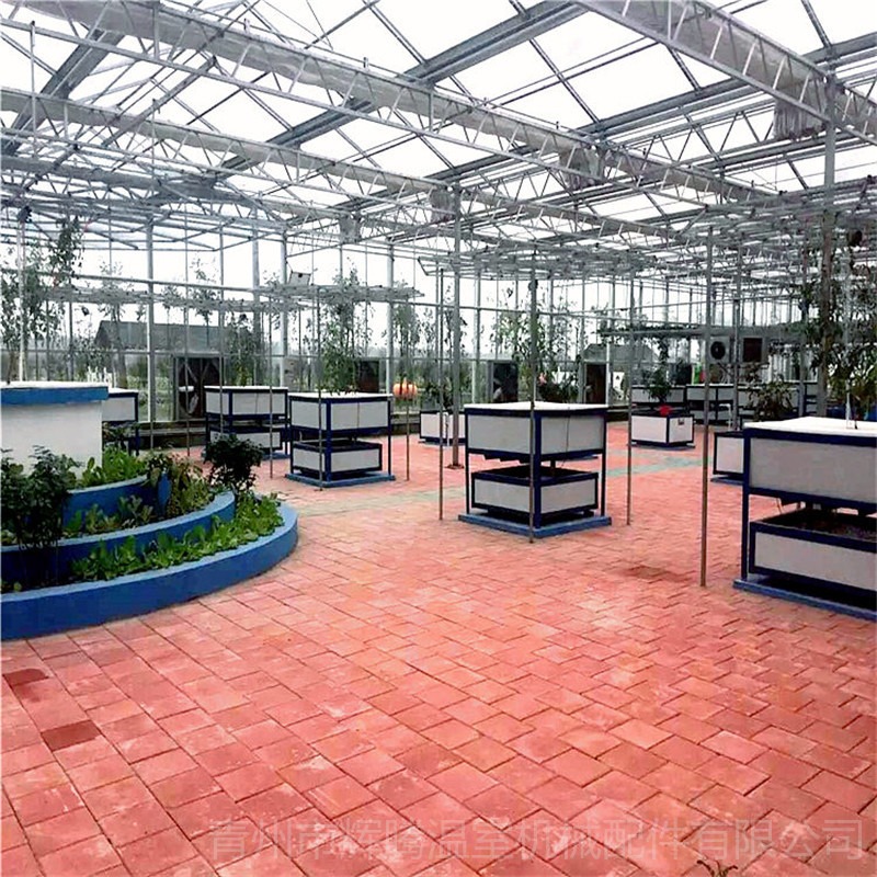 阳光板温室 地中海辉腾公司 日光蔬菜温室图片