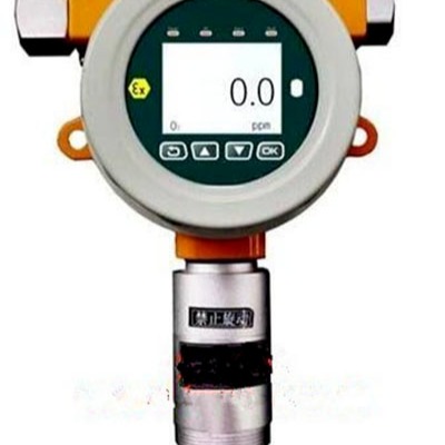FF在线式硫化气体检测仪 型号:KN15/MOT500-H2S  库号：M401747 中西