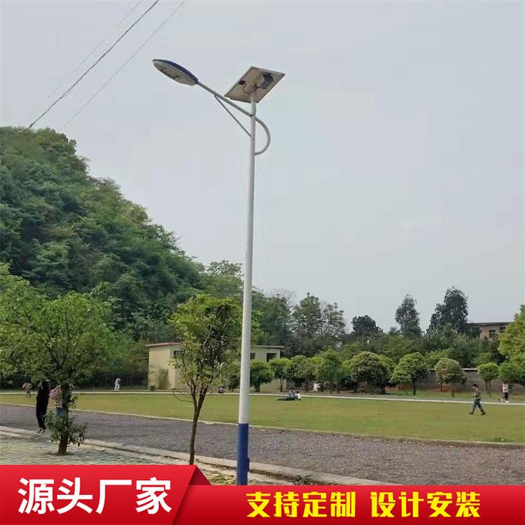 6米太阳能路灯厂家 led感应金豆款太阳能路灯 分体式户外太阳能路灯图片