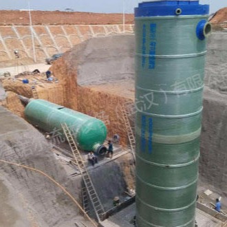 抚州 进口  双泵污水提升器