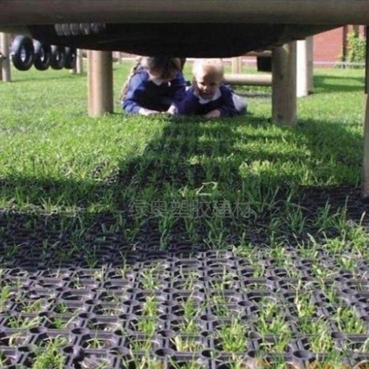 HDPE植草格50mm 草坪停车场二合一防止土质流失 耐磨耐压 植草格