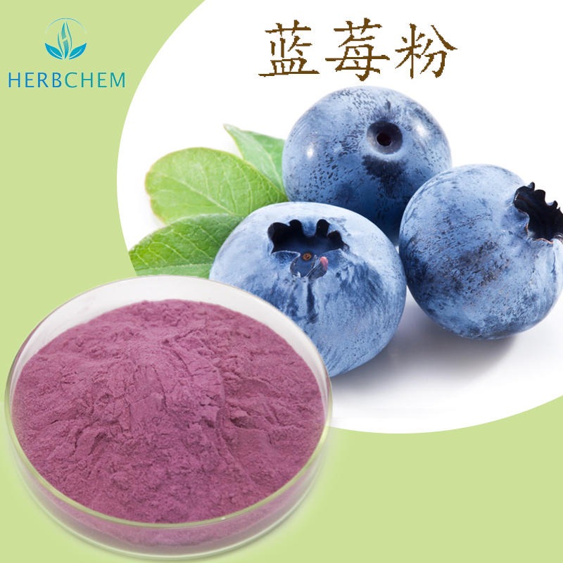 蓝莓粉 昊辰工厂批发供应 食品级蓝莓果粉 蓝莓浓缩粉 蓝莓提取物