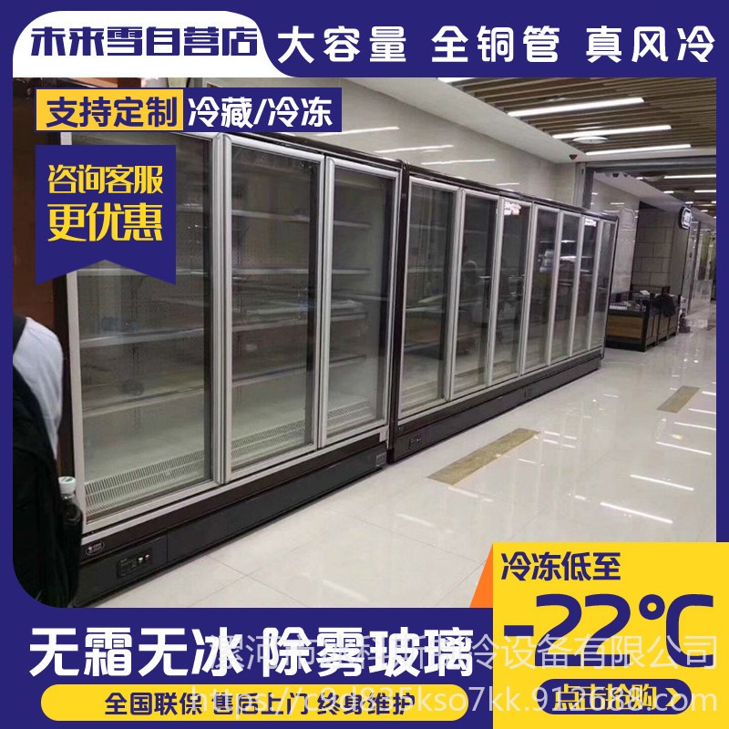 冰科斯-WLX-LSLD-44 火锅保鲜类食材  餐饮食材保鲜冷藏柜  冷冻柜厂家  火锅必不可少的食材