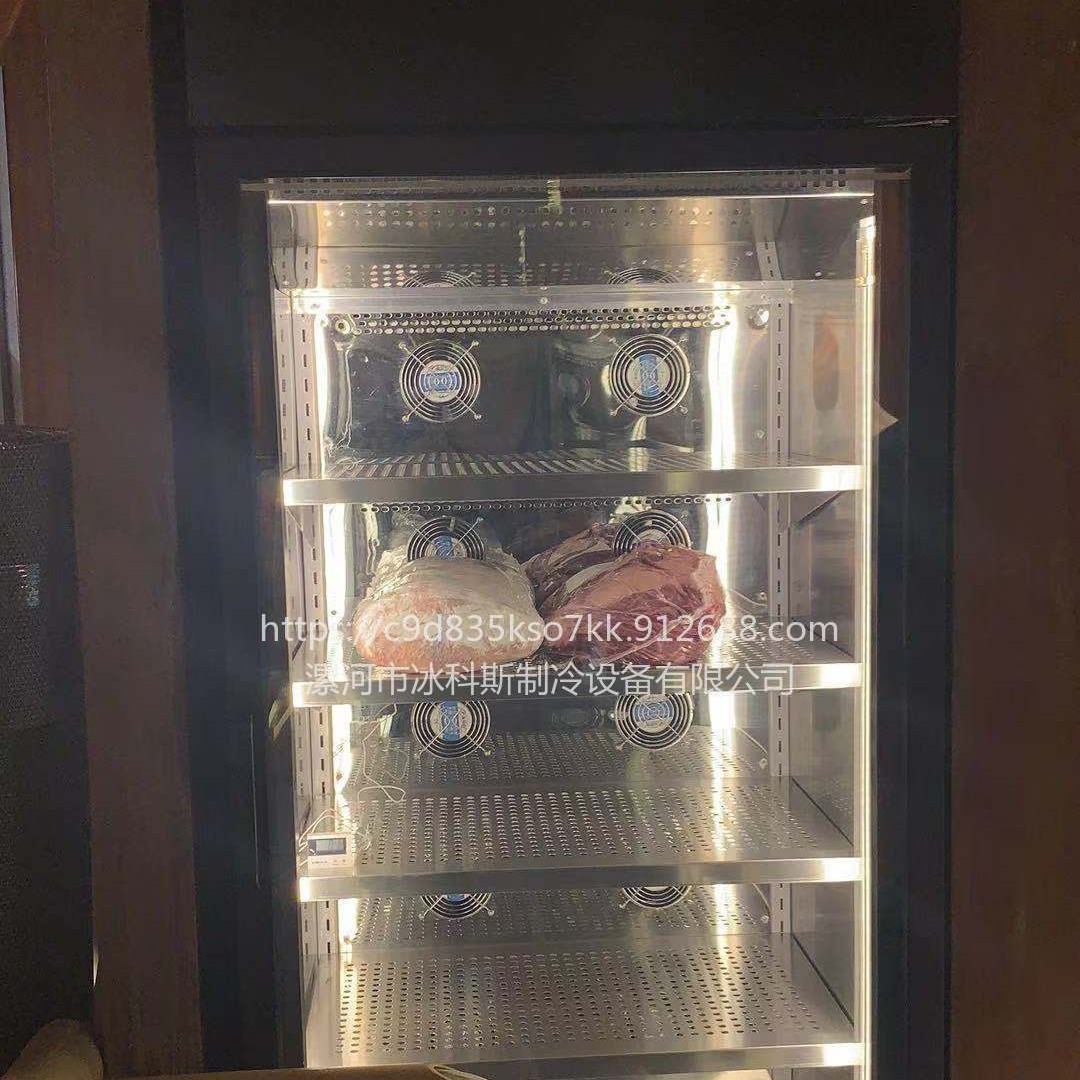 武汉干式熟成牛肉 – 国际干式熟成柜 德国西门子技术未来雪冷柜 工厂定制 未来雪冷柜 WLX-NR-207图片