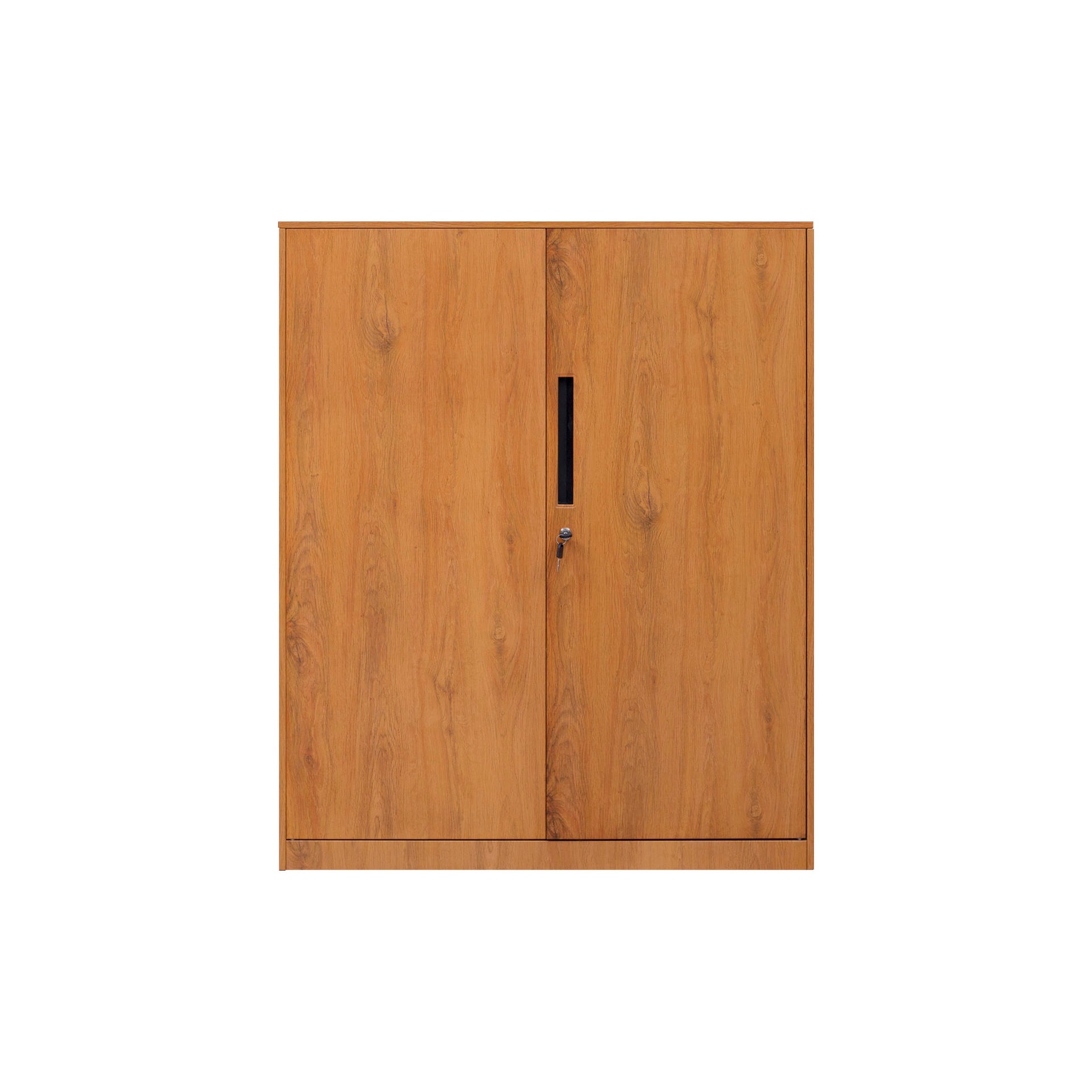钢制木纹转印两门矮柜两抽钢制矮柜对开门矮柜两门储物柜可调节式两门矮柜图片