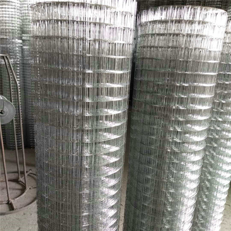 兴运丝网 镀锌电焊网 保温镀锌电焊网 大量现货规格齐全