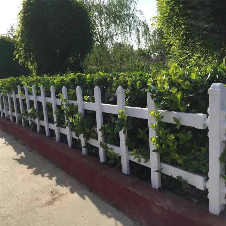 小区公园绿化带白色PVC塑钢护栏 庭院园艺花坛草坪隔离护栏 厂家现货直销