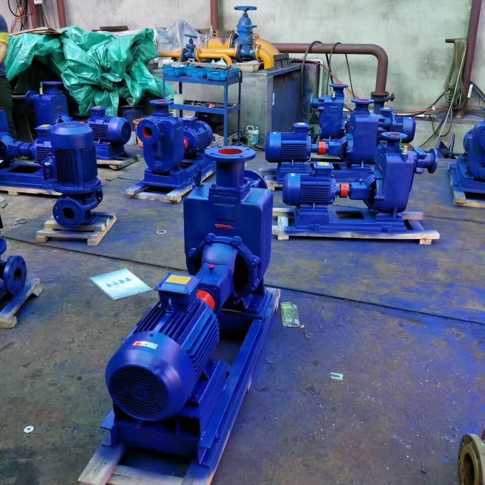 江苏蓝升泵业50ZX15-60自吸式离心泵  50ZXL15-60直联式自吸泵 ZXPB不锈钢防爆自吸泵