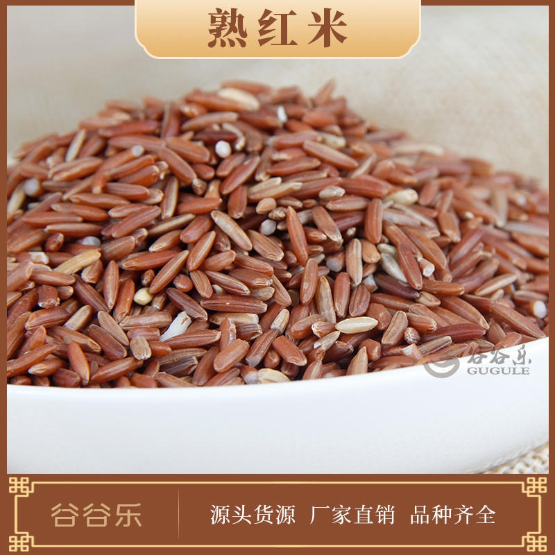 熟红米 谷谷乐 供应红米 低温烘焙熟五谷杂粮商用 早餐豆浆料包
