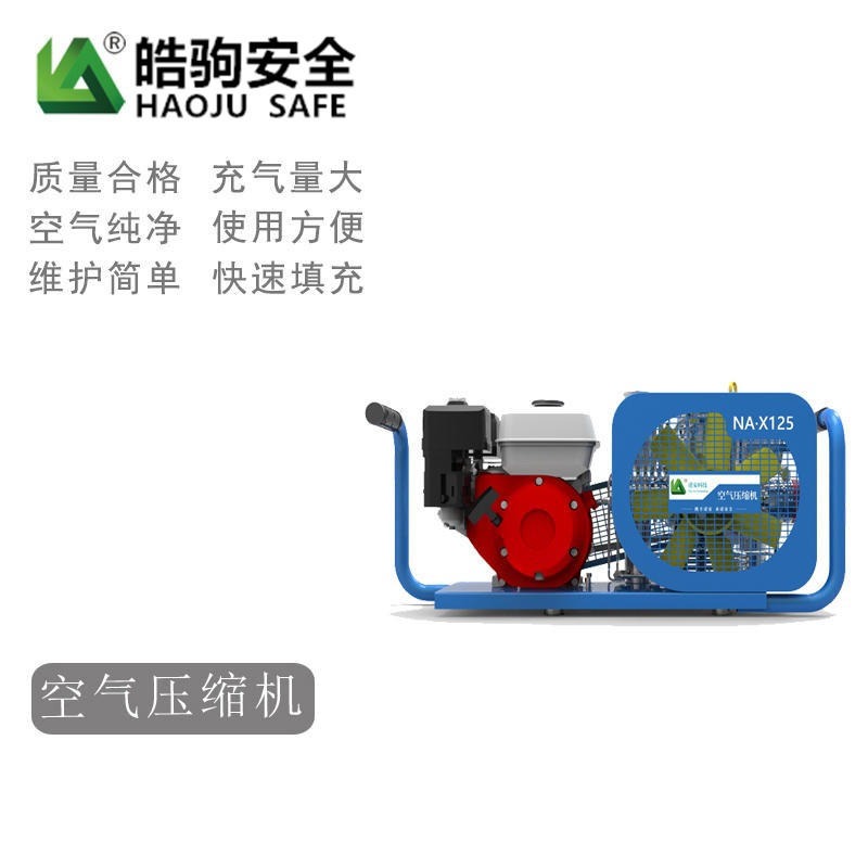 上海皓驹厂家直销 NA-X125SH德国型高压空气充填泵 汽油机高压空气充填泵 空气充气泵设备