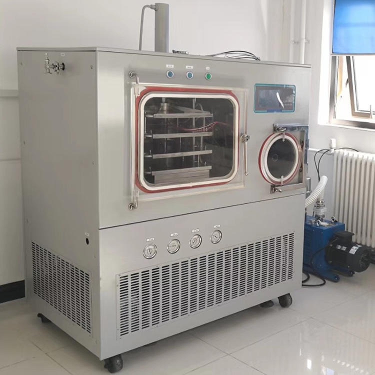 EGF冻干机价格 LGJ-30F自动压塞冻干机 冻干粉冷冻干燥机现货图片
