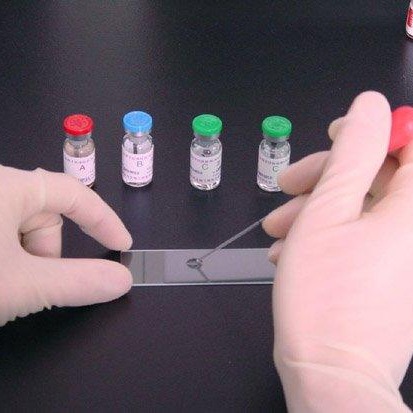 大鼠破骨细胞分化因子(ODF)ELISA试剂盒图片