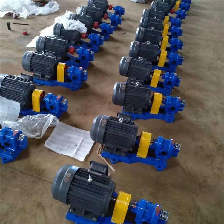 华海泵业 大扬程2CY系列齿轮油泵 销售高压力输送泵 喷射燃油泵