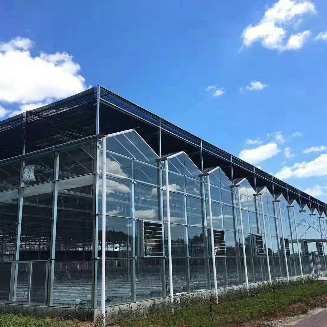 温室玻璃大棚 智能温室玻璃温室 玻璃连栋温室