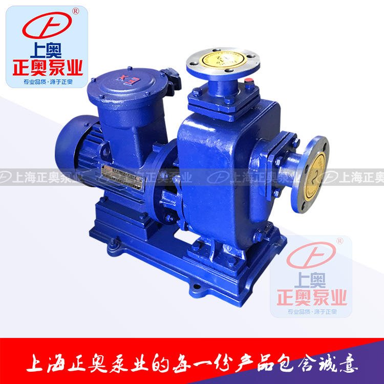 CYZ-AL型直联式自吸油泵 铸铁自吸柴油泵
