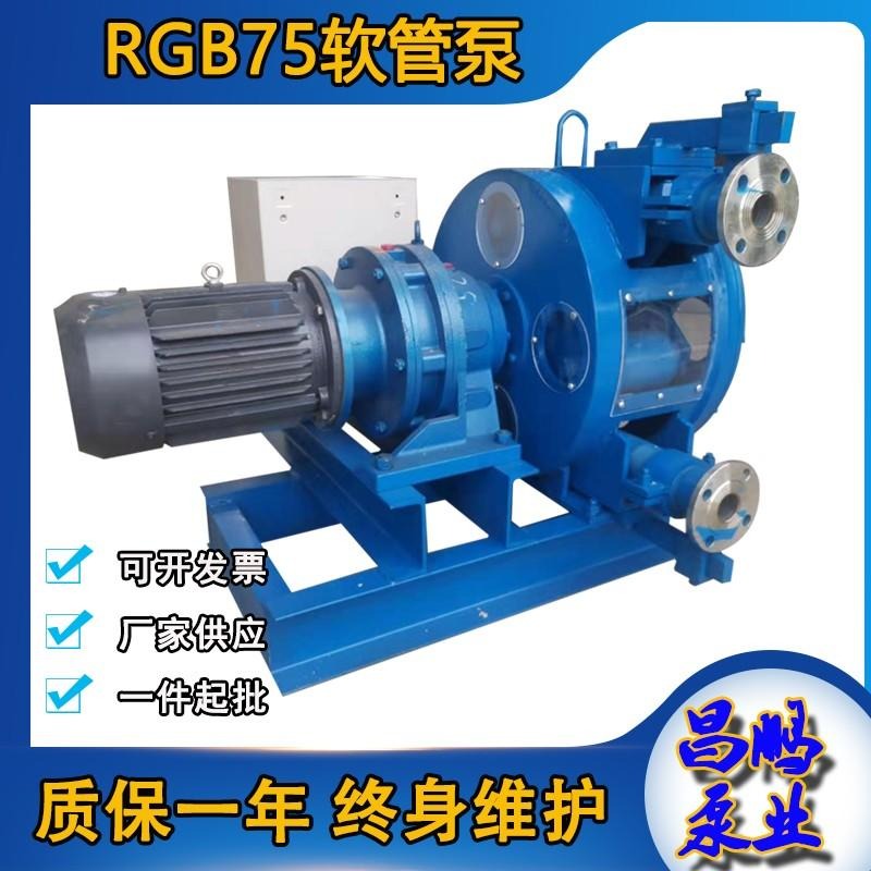 RGB100大流量软管泵  浆液输送泵 陶瓷釉浆蠕动软管泵