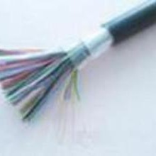 ZRC-HYA 10*2*0.8 ZRC-HYA23充气通讯电缆 2*2*0.5