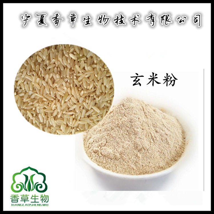 玄米粉 低温烘焙糙米熟粉80目 玄米提取物 玄米速溶粉