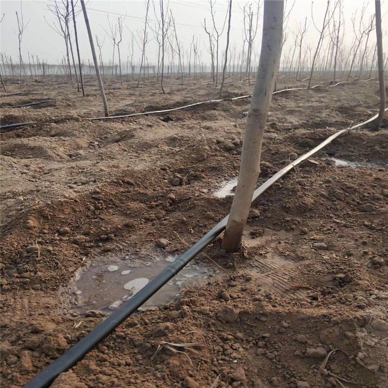 16mm滴灌管价格 山东农业节水灌溉设备