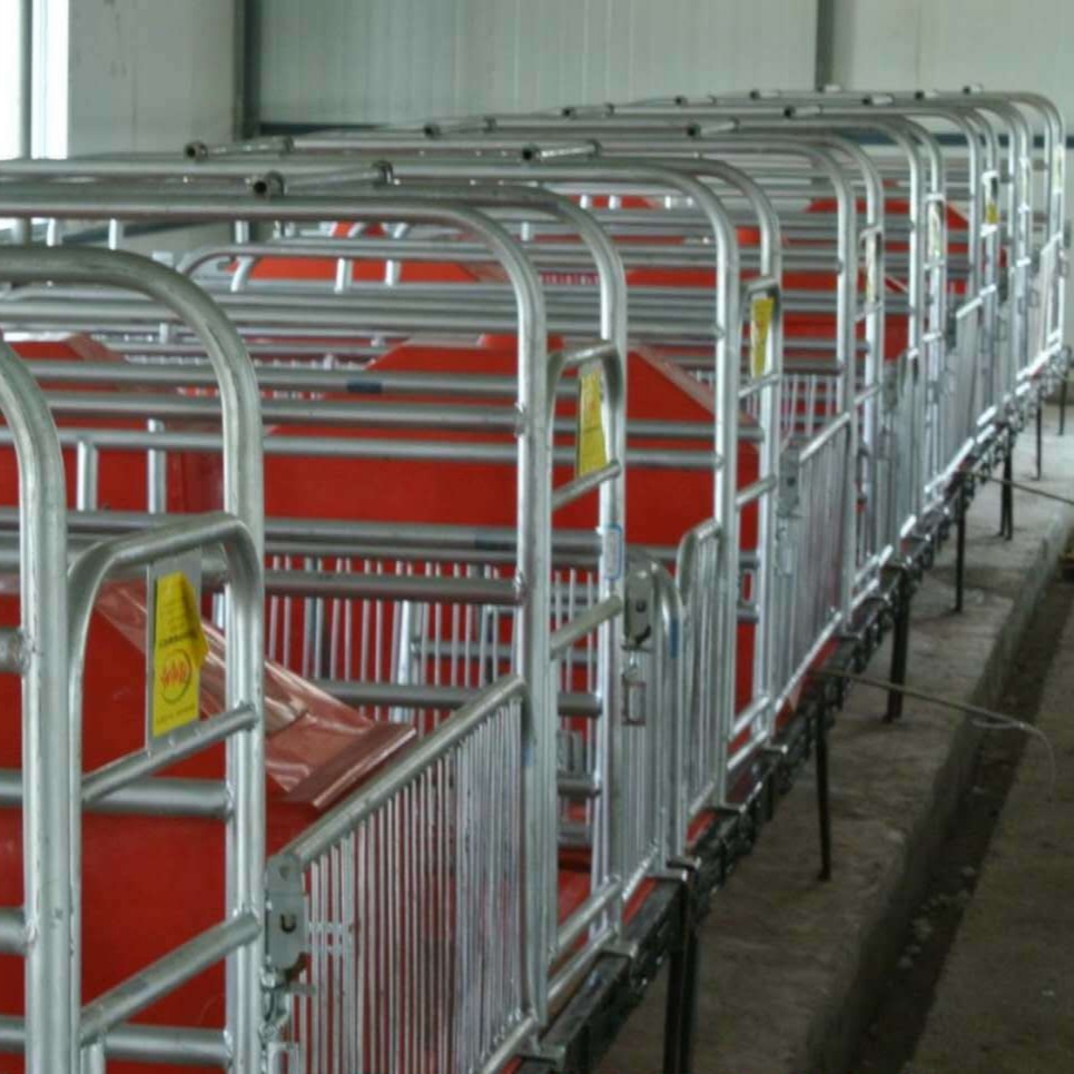 母猪产床 70 养猪设备 新胜顺 猪产床 厂家直销