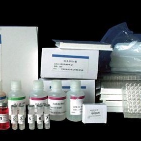人单核细胞趋化蛋白3试剂盒 MCP-3试剂盒 单核细胞趋化蛋白3ELISA试剂盒