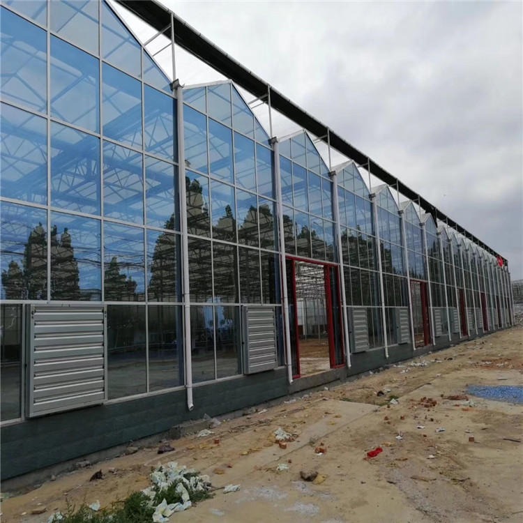 保温玻璃温室 育苗玻璃温室 玻璃温室工程 博伟