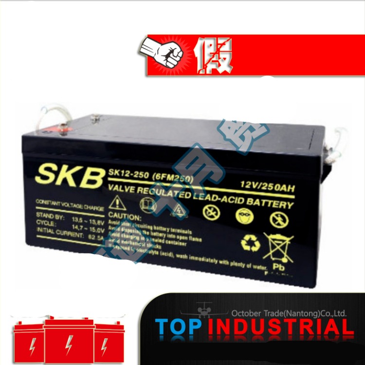 原装德国SKB蓄电池SK12-38铅酸免维护固定型直流屏12V38ah进口