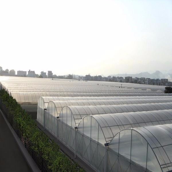 潍坊建达温室 大型蔬菜温室园区 薄膜蔬菜大棚 大型薄膜连体温室 薄膜大棚生产建设