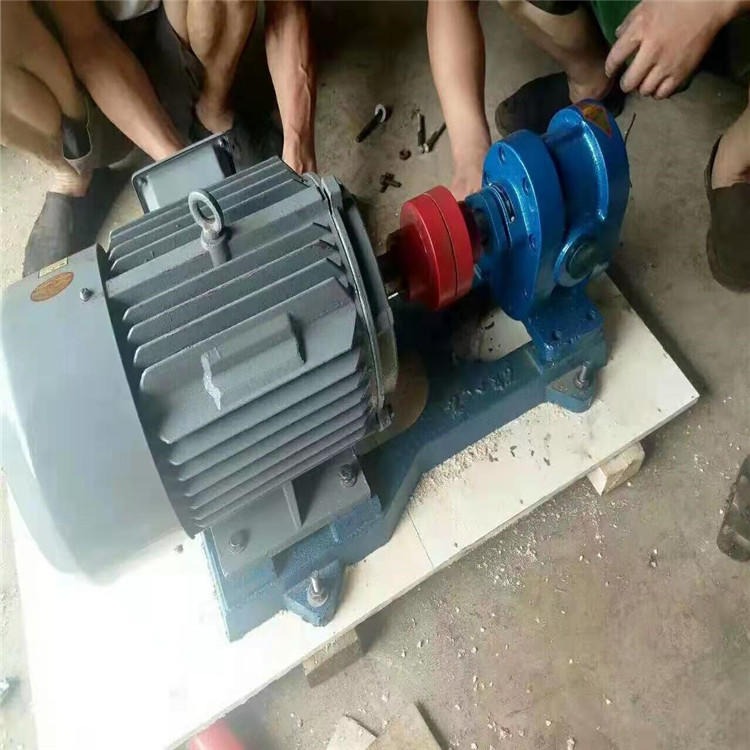 华海泵业 2CY系列铸铁齿轮油泵 润滑油液压传动高压力输送齿轮泵