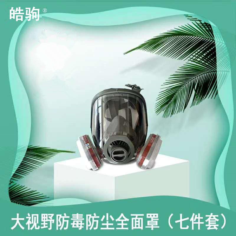 皓驹  HJF05   全面罩防毒面具 防毒全面具 过滤型呼吸防护器 自吸过滤式防毒面具GB2890 全面型呼吸防护器